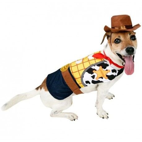 woody dog ​​in toy story