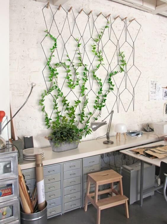 a climbing plant and a weft