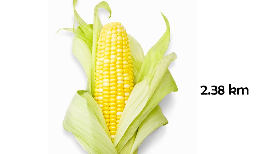 how long can corn stay in your colon