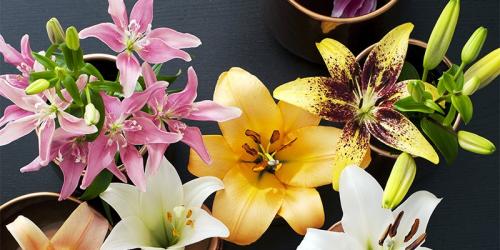 Floral decoration: the 3 trends of 2015
