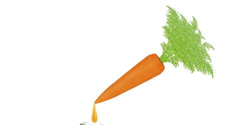 Is carrot oil really active in tanning?