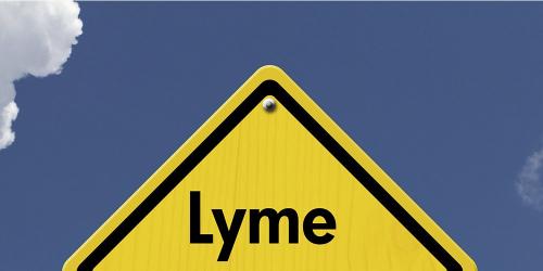 3 things to know about Lyme disease