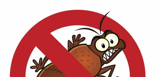 How to cure bed bug bites?