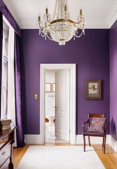 ultra violet living room walls