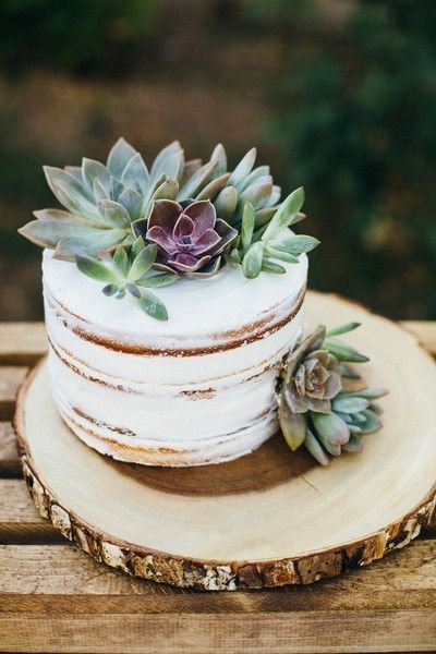 round white cake with succulents on it