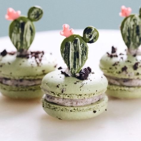 green macaroons decorated with a green colored chocolate cactus
