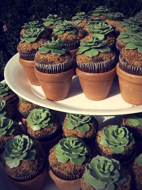 dark chocolate cupcakes and succulent green sugar paste