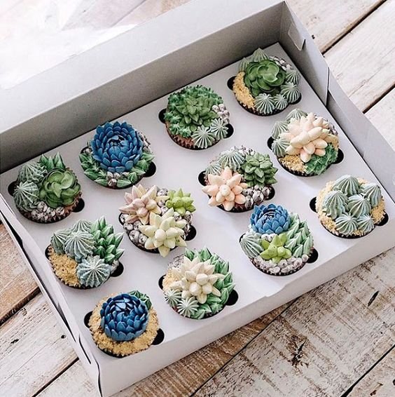 cupcakes in a compartment box