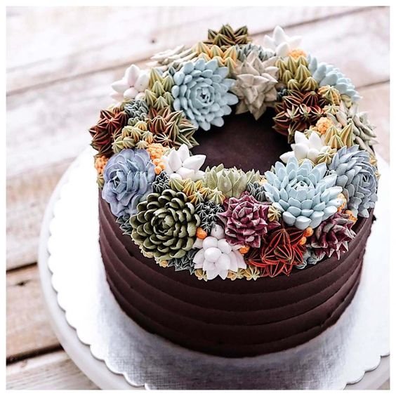 chocolate cake decorated with succulent succulents arranged in a crown