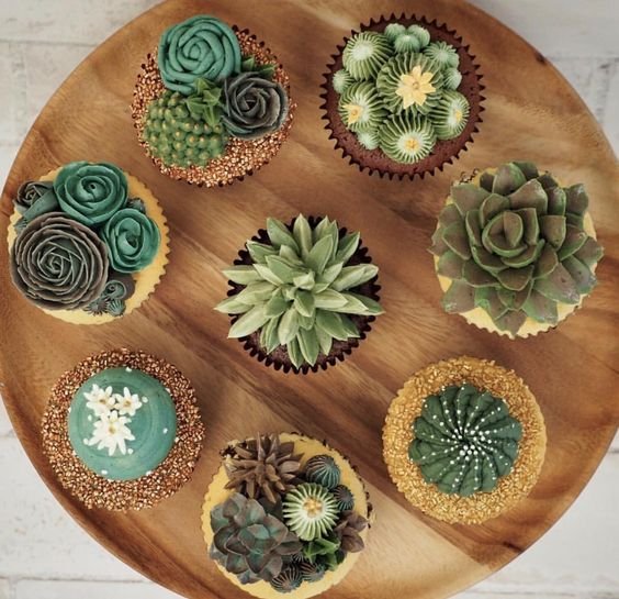 vanilla and chocolate cupcakes decorated with succulents in sugar paste