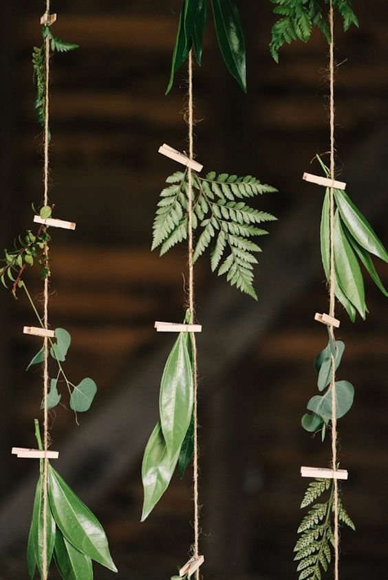 green leaves hung on wires vertically to create a curtain