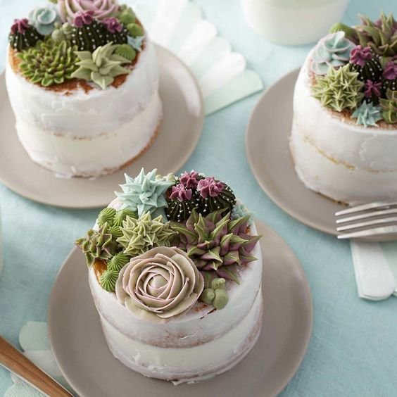 single storey cake topped with succulents in sugar paste