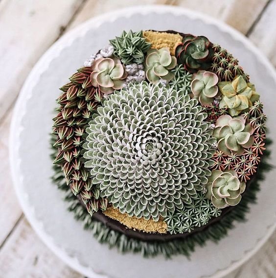 cake with a huge succulent plant in sugar paste