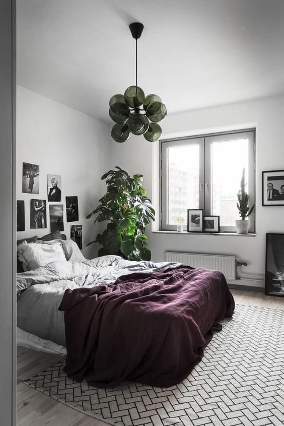 purple bedding, white walls and plants