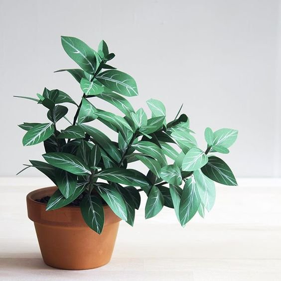 16 green plants that do not need water
