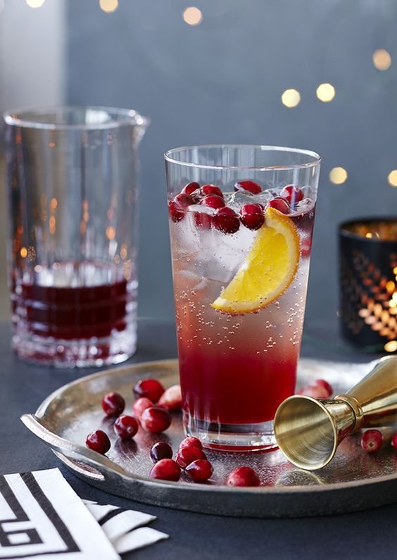 cocktail with soda, cranberries and lemon
