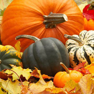 Autumn fruits and vegetables calendar