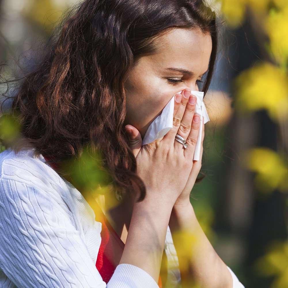 Allergies: station to assault ragweed pollens