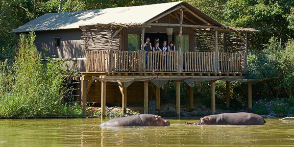 hippopotamus pal accommodation