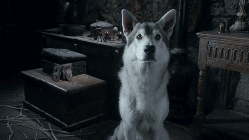 Wolf ghost in Game of Thrones